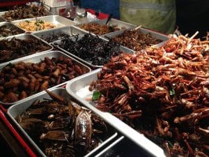 Comida más que exotica en Khao San Road, Bangkok.