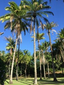 Pousada Vila da Barra, Boipeba