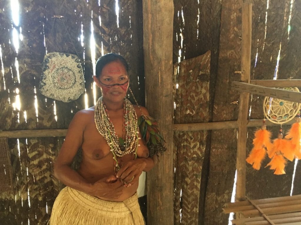 Visiting An Indigenous Tribe In The Amazon Brazil Continents Passport