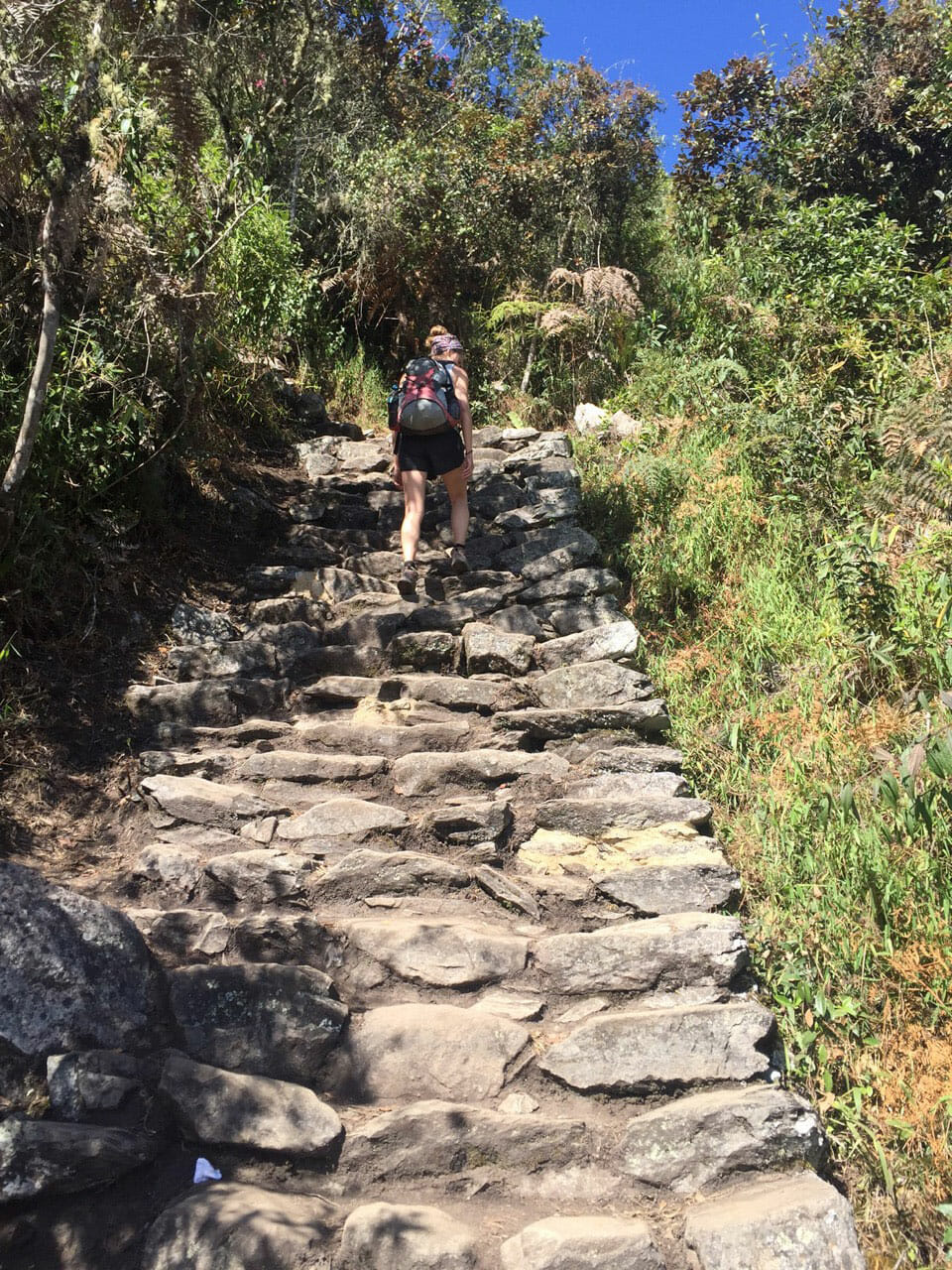 Uma mulher subindo os degraus da trilha da Montanha Machu Picchu