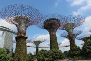 Gardens by the Bay