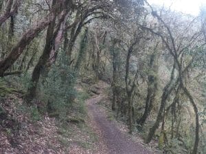 Poon Hill Trek, Nepal