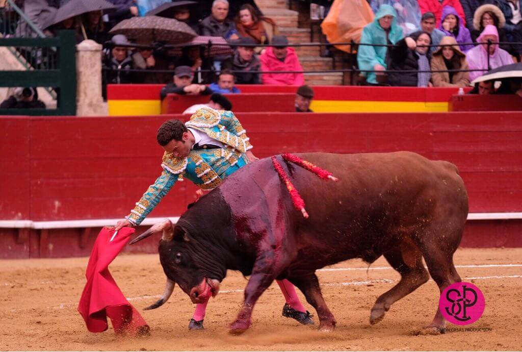 corrida de toros