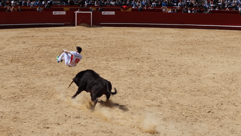 Tourada na Espanha: Se os Touros não são Feridos é Aceitável Assistir?