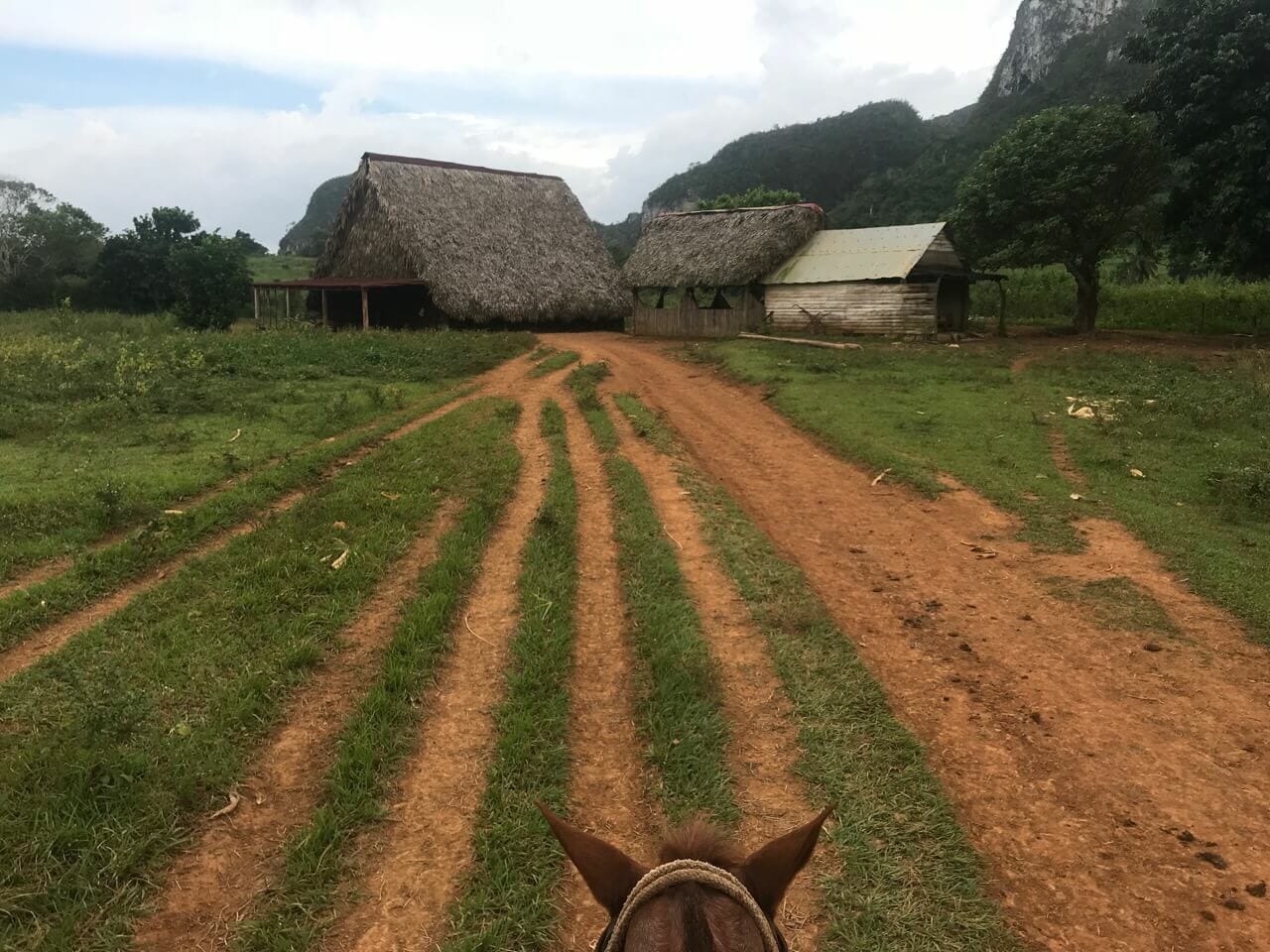 Pinar del Río, Viñales, Cuba