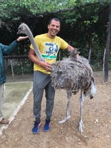 Mi divertí mucho en Cango Ostrich Farm.