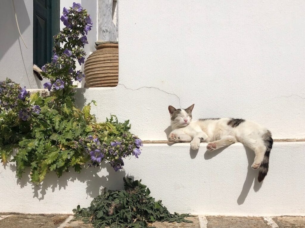 Islas Cícladas, Grecia