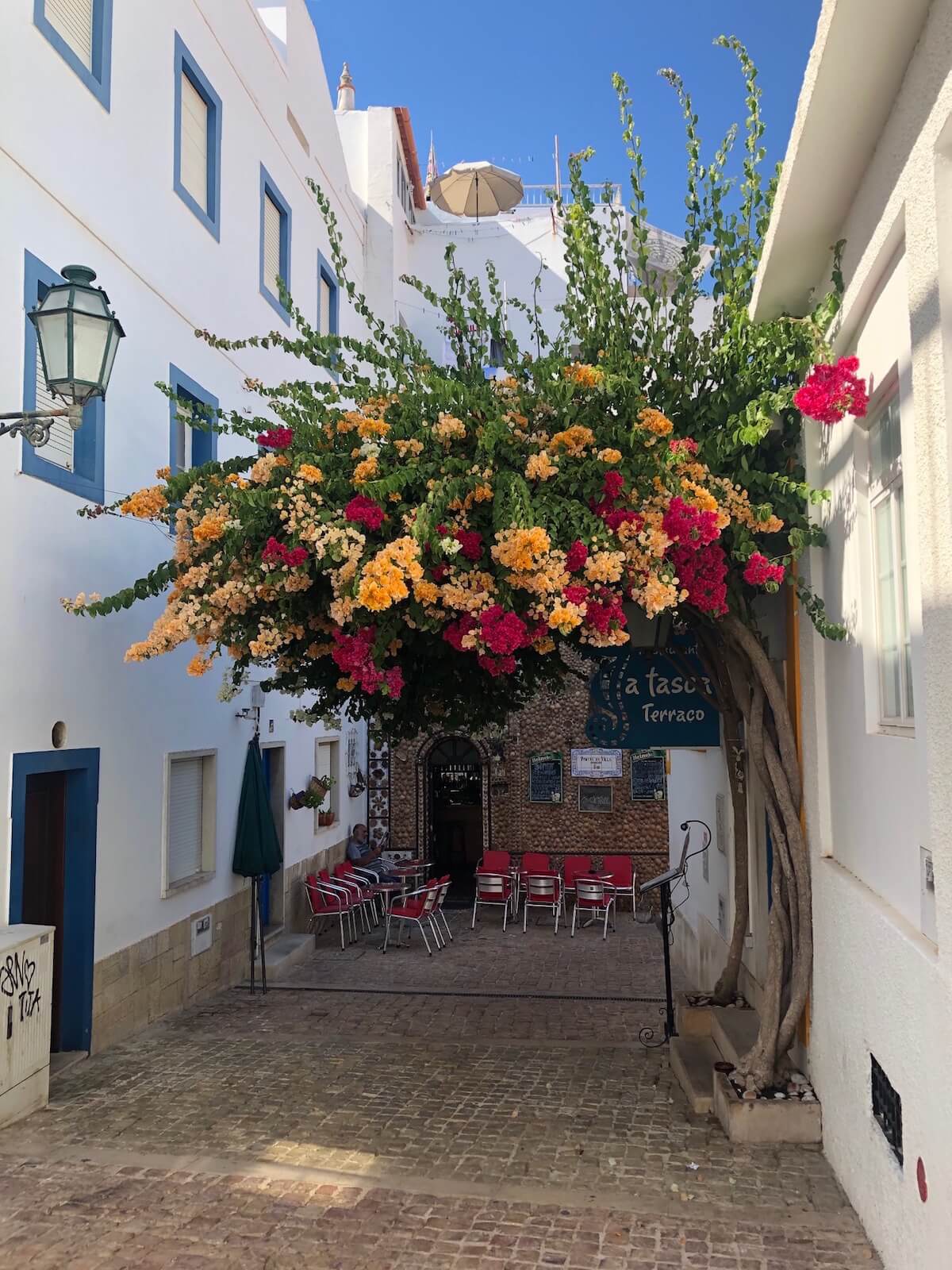 Uma árvore com várias flores de bougainvilleas laranjas e vermelhas em uma rua deserta no centro histórico de Albufeira, Portugal