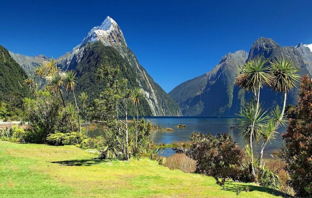 visiting New Zealand