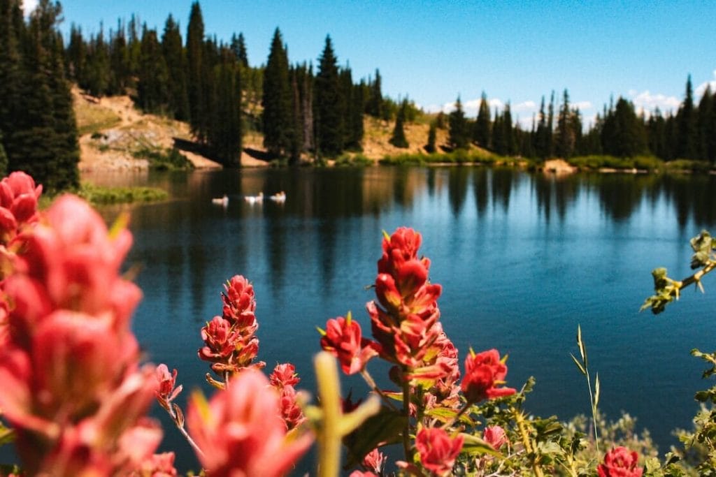 Guardsman Pass Overlook, Park City, Utah, United States